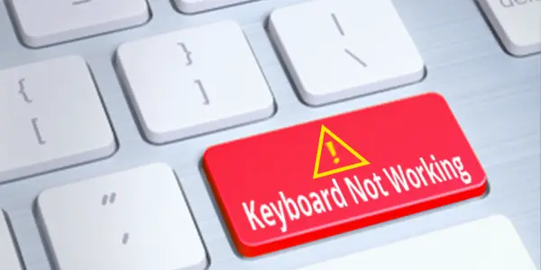 external keyboard for laptop not working